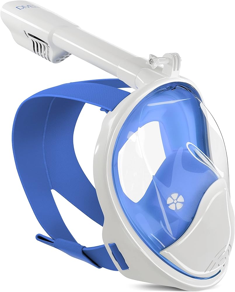 Snorkel Masks